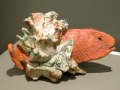 Poisson