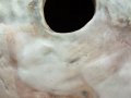 piece-no15-detail
