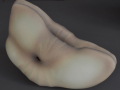 H : 22 cm