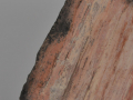 Falaise (détail) - H : 22 cm
