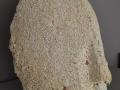 Tête / head